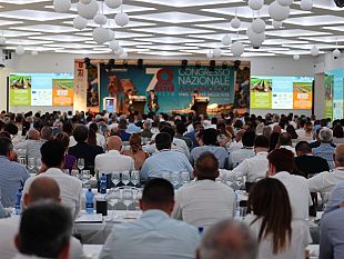 agrigento-ospita-la-78a-edizione-del-congresso-assoenologi-cultura-innovazione-e-sostenibilita-nel-mondo-del-vino