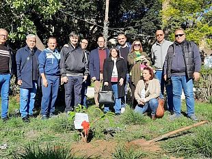 anche-a-castelvetrano-levento-alberi-per-il-futuro