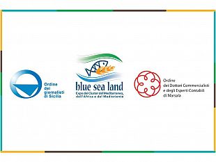marine-stewardship-council-invita-i-pescatori-siciliani-a-un-confronto-sulla-sostenibilita