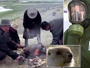 una-nuova-potenziale-pandemia-preoccupa-il-mondo-la-peste-bubbonica