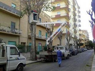marsala-potatura-alberi-operatori-del-verde-pubblico-in-via-sibilla