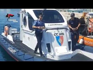favignana-i-carabinieri-salvano-quattro-tartarughe-in-difficolta-nel-mare-delle-egadi