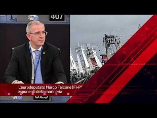 tg-news-del-30-ottobre-2024