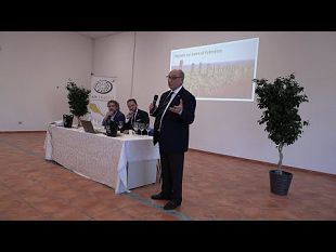 petrosino-aperta-ieri-la-manifestazione-vino-vivo-resistenza-e-orgoglio-contadino
