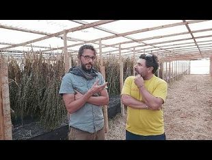 una-produzione-etica-e-di-eccellenza-il-sesamo