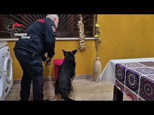 operazione-nirvana-smantellata-rete-criminale-dedita-a-frodi-spaccio-e-occupazioni-illecite
