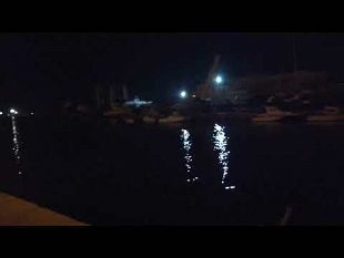 ieri-sera-e-tornato-il-marrobbio-nel-fiume-mazzaro