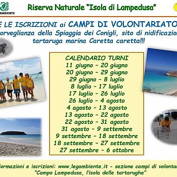/images/0/0/00-locandina-conigli-2.jpeg