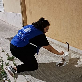 /images/0/0/00-volontari-oipa-in-strada-per-applicare-antiparassitari-08.jpg