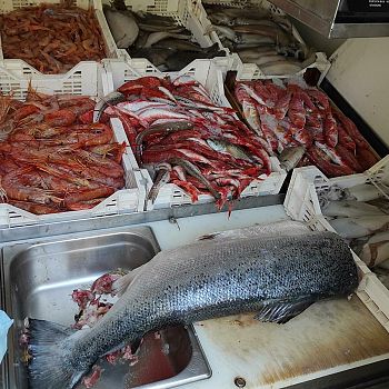 /images/0/1/01-sequestro-pesce-porto-trapani--3-.jpg