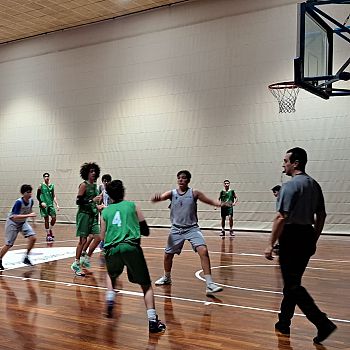 /images/1/2/12-basket-verde-3.jpg