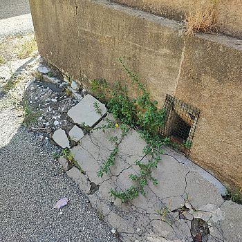 /images/1/4/14-cimitero-tp--4-.jpeg