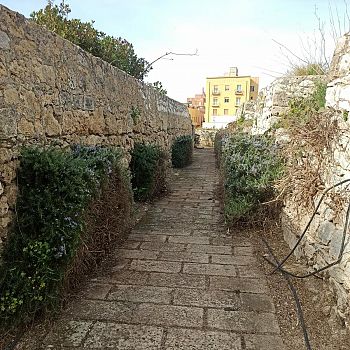 /images/2/0/20-bastione5.jpg