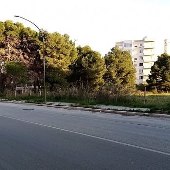 /images/2/1/21-via-virgilio-aiuole2.jpg