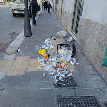 /images/2/6/26-rifiuti-vandali.jpg