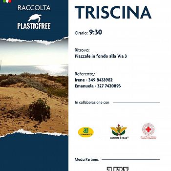 /images/2/7/27-plasti-triscina.jpg