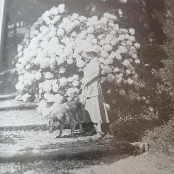 /images/3/7/37-vittoria-colonna.jpeg