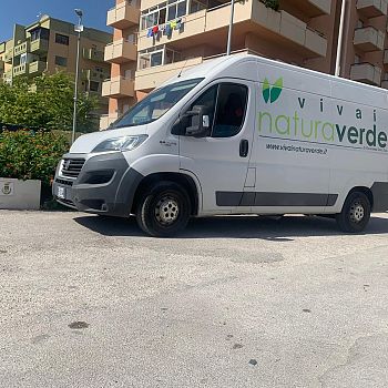 /images/3/9/39-vivai-natura-verde-4.jfif