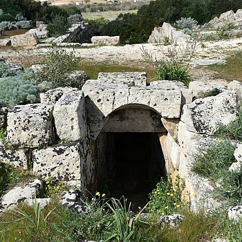 /images/4/2/42-acropoli--40-.jpg