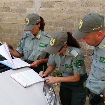 /images/4/4/44-guardie-verbalizzanti.jpeg