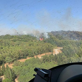 /images/4/8/48-incendi-boschivi-trapanese--1-.jpg