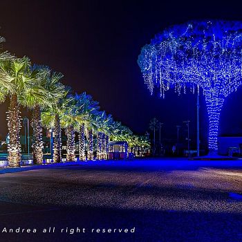 /images/5/4/54-albero-della-vita-d-andrea.jpg