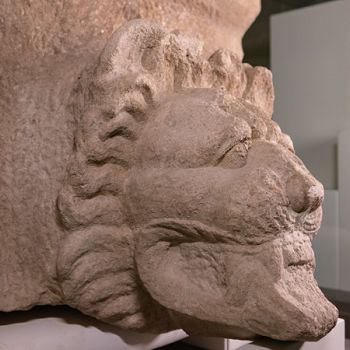 /images/5/7/57-sima-selinunte-2023.jpg