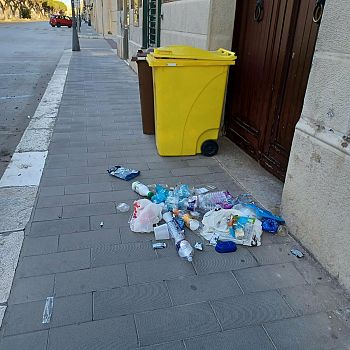 /images/5/8/58-vandali-rifiuti-trapani.jpg