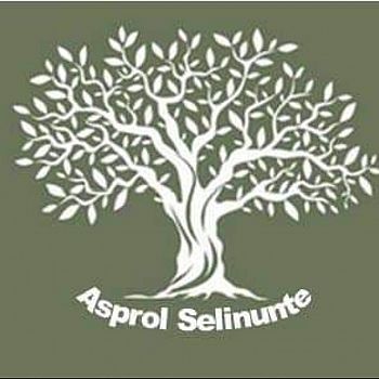 /images/5/9/59-logo-asprol-selinunte.jpg