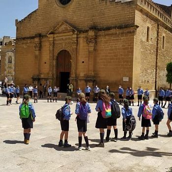 /images/6/4/64-scout.jpg