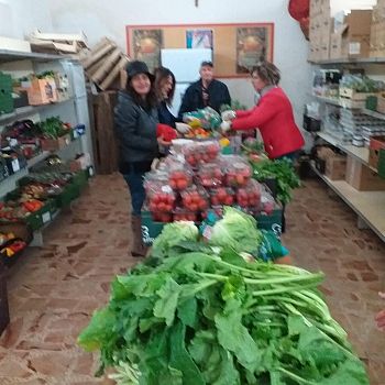 /images/6/6/66-frutta.jpg