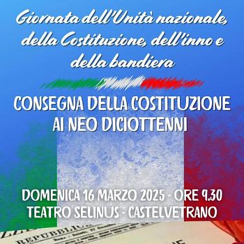 /images/7/0/70-costituzione-selinus.jpg