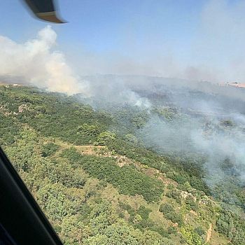 /images/8/0/80-incendi-boschivi-trapanese--5-.jpg