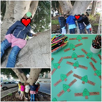 /images/8/2/82-albero-pappaplardo.jpg