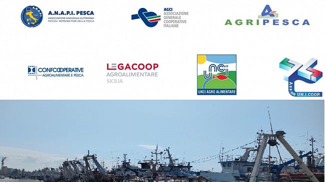 Crisi della pesca, Associazioni di settore: 