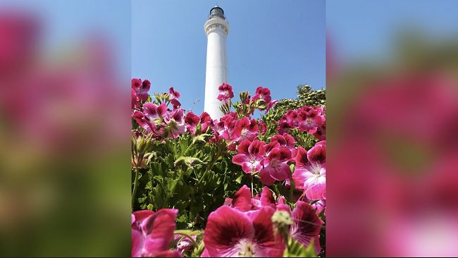 ​Giornate FAI d’Autunno, il Faro di Capo San Vito apre le sue porte