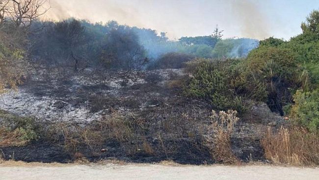 Selinunte, distrutti otto ettari di macchia mediterranea nella pre riserva