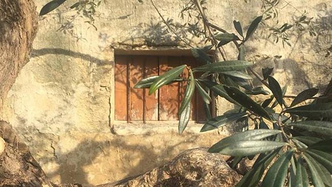 rete-punica-per-il-sociale-un-centro-con-e-senza-di-noi-per-diversamente-abili-a-marsala-il-primo-in-provincia
