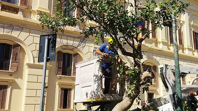 Trapani, Erythros: 