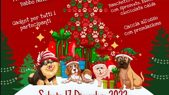 L'Enpa Castelvetrano organizza il Natale a 4 zampe al Chiostro dei Minimi 