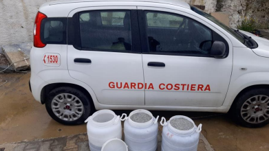 Mazara, la Guardia Costiera sequestra circa 100kg di novellame di sarda