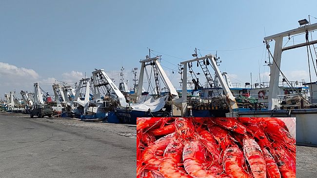 Stop pesca del gambero rosso, ma no per i pescherecci nordafricani. Pescatori mazaresi: “oltre al danno anche la beffa” 