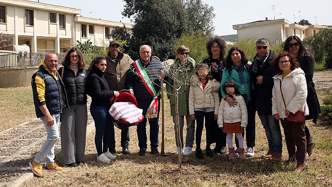 ​Vita, Badia Grande: piantato un ulivo simbolo d'integrazione e di speranza