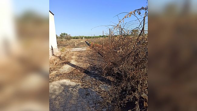 Campobello:pubblicato avviso per la locazione di 2 terreni confiscati alla mafia