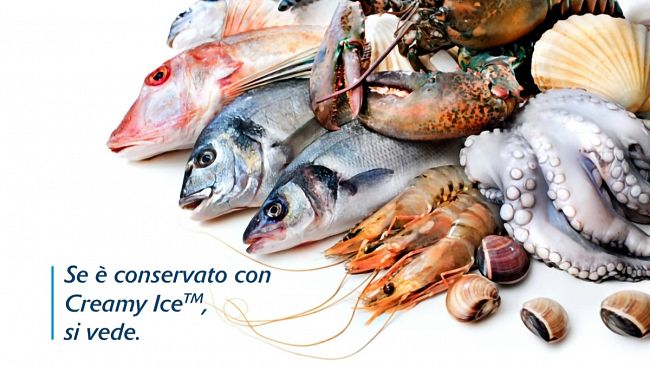 Sciacca, si presenta nuova tecnologia per migliore conservazione del pescato