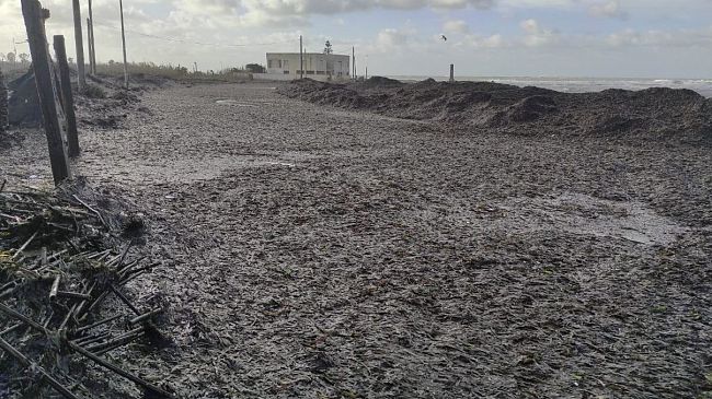 Petrosino, maltempo e mareggiate, chiusura al transito di Lungomare Biscione: c'è l'ordinanza