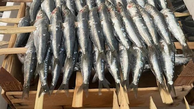 Torna la sagra della sarda a Marinella di Selinunte
