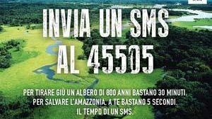 Riserva Naturale Lago Preola e Gorghi Tondi, domenica Festa delle Oasi WWF
