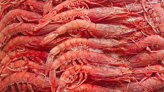 Gambero rosso di Mazara, la tecnologia per certificare l’origine e tutelare il valore del prodotto