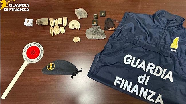 ​Sequestrati 17 fossili di 60 milioni di anni fa: spedizioni intercettate a Punta Raisi
